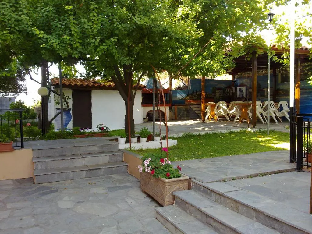 7848536.jpg